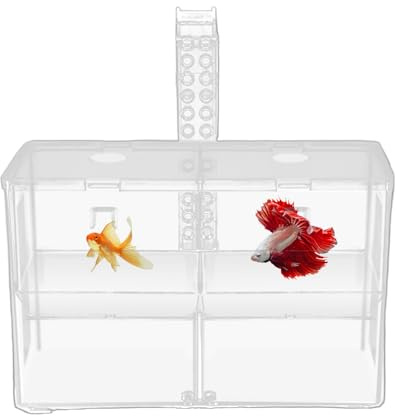 Fischzuchtbox | Transparenter Brutbehälter,Doppelkammer Aufzuchtbox | für Süßwasser Salzwasser Lebendfutter Aufzucht Guppy Jungfische Betta Beobachtung