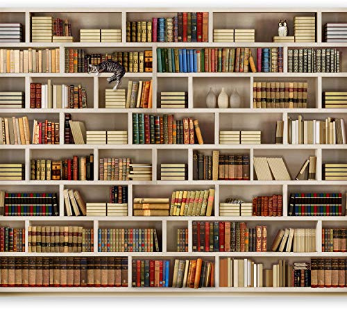 murando - Fototapete selbstklebend Bibliothek, 294x210 cm, Schlafzimmer | Selbstklebend ohne Kleister, Full HD Druck, ideal fürs Wohn- oder Schlafzimmer, schnelle Montage, lichtbeständig, geruchsfrei