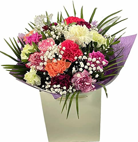 Life Is Bloom Fresh Flower Bouquet Of Mixed Carnations, Gypsophila in Gift Bag – Celebrating Summer Floral Arrangement for Birthdays, Get-Well, Wedding, Thank-You, Sympathy, event Party