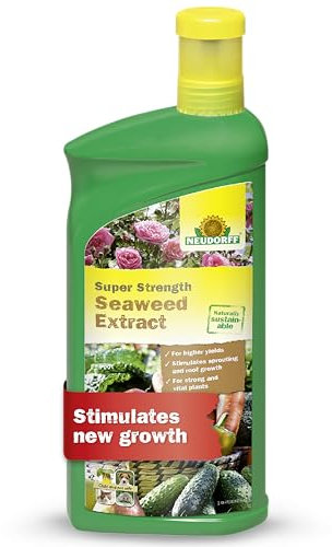 Neudorff Super Strength Seaweed Extract 1 L, Strong, Vital Growth in all Flowers, Fruit and Vegetables, 100% Natural Seaweed Extract
