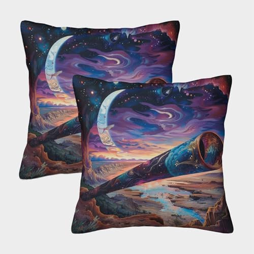 kaiyun 2 Pack Boomerang Cushion Covers Abstract Decorative Pillow Covers Throw Pillow Covers Home Sofa Decoration 50x50cm Pillow Covers