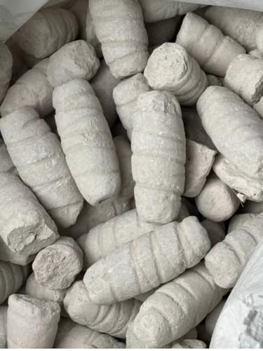 Cascarilla Coquille d'escargot spirituel africain, poudre rituelle Santeria, Efun 3 coquillages