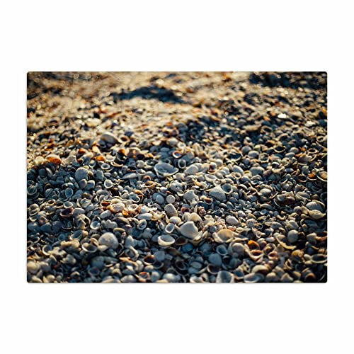 Vero Home 17508 Glas-Schneidebrett | Motiv Reisen Muschel | rutschfest, kratzfest und lebensmittelecht | Maße: 39 x 29 cm