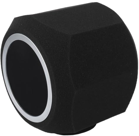 Mikrofon-Windschutzscheiben-Popfilter, Hochdichter Akustikschaum, 2 Stile für Studioaufnahmen, Gesang (Typ-B)