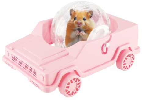 Hamsterrad - Auto Form Kleines Übungsspielzeug für Zuhause, Stressabbau mit Lauffunktion, Rennmaus Laufspielzeug für Zwergrennmäuse, Hamster, Chinchilla-Käfig Anreicherung, Geschenkverpackung