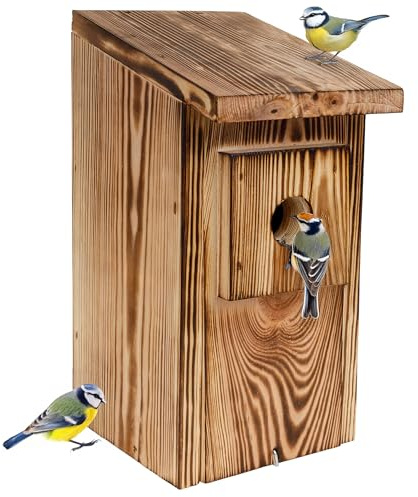 Creative Home Caja Nido Flameada – Caja Nido para Aves en Exteriores – Fabricada en Madera de Pino, Protección contra Depredadores – Ideal para Carboneros, Herrerillos, Pinzones y Gorriones