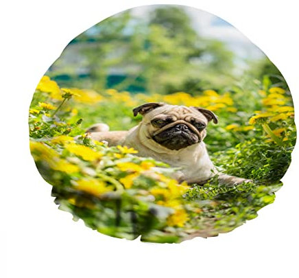 Gorro de ducha de doble capa impermeable con diseño de carpe amarillo brillante, hierba de carpe y flores, sombrero de ducha reutilizable para mujer, belleza, baño, spa, hogar, hotel, viaje uso