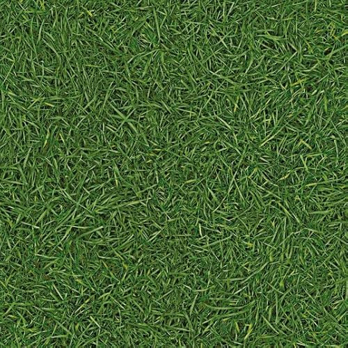Sol Vinyle Nature - Imitation Gazon - 3.00m x 4m