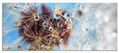 Pixxprint Glasbild Panorama, Wandbild aus Echtglas, Tropfen an Pusteblume abstrakt, 120x50 cm, inkl. Aufhängung und Abstandshalter