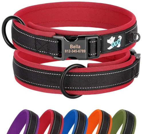 Didog Personalisiertes Nylon-Hundehalsband, weiches Neopren gepolstert, individuelle Hundehalsbänder, reflektierendes Hundehalsband graviertem Namensschild kleine, mittelgroße große Hunde, rot, S