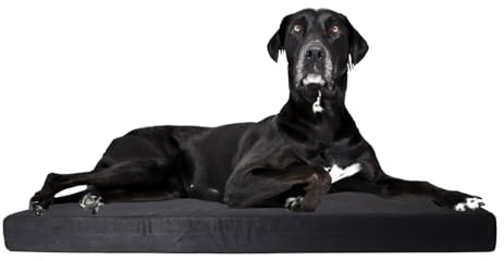 Kauresistentes Hundebett für aggressive Kauer, langlebige orthopädische Schaumstoffmatte, unzerstörbare Hundebetten, kaufest für Hundekäfig, langlebiges Hundebett für große Hunde, kaufest und