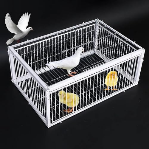 REBOTZ Trampa para Pájaros, Jaula Colectora Con Puerta de Gallinero de 40/60/70/90/100 cm para Palomas de Carreras, Loros, Puerta de Ventana, Suministros