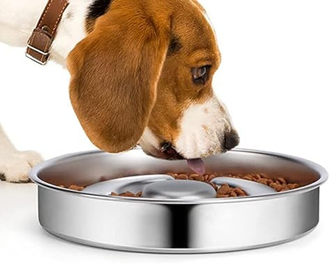 Bols à Alimentation Lente – Plat d'alimentation pour Chien en Acier Inoxydable, Bol Anti-ballonnement Anti-avalement | Base antidérapante, Conception sûre et pour Chiots et mangeurs Rapides