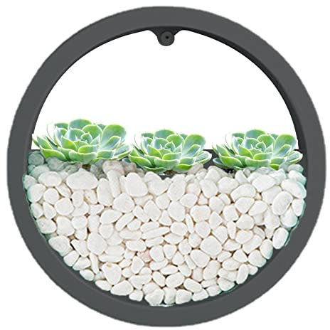 Opilroyn Wandvase - Klar Rund Blumentopf - Wandvase Pflanztöpfe Indoor Blumentopf Indoor Pflanze Runde Wandmontierte Vase für dekorative Korbpflanzen