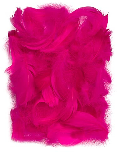 Netuno 150 Stück Flaum Federn Dunkelrosa 10 g Natur Schmuckfedern zum DIY Basteln Dekoration für Ostern Weihnachten Figuren Dekofigur Karneval