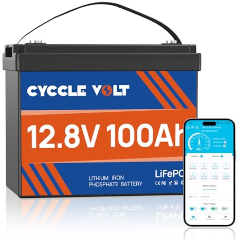 Mini LiFePO4 12V 100Ah Bluetooth Lithium Batterie, 100A BMS mit Niedertemperaturabschaltung, bis zu 15000 Zyklen, wiederaufladbar, Lifepo4 12V, perfekt für Wohnmobile, Solar, Boote, netzunabhängig