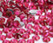 Yixinly 3000 pezzi SS20 5 mm strass rotondi cristalli per unghie, decorazione fai da te, vestiti, custodie per cellulari, scarpe, borse (Fucsia)