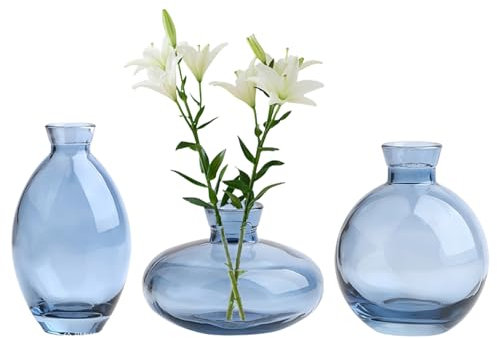 Vaso di fiori in vetro, vaso decorativo trasparente, decorazione da tavolo, matrimonio, champagne, boheme, battesimo, compleanno, regalo per la festa della mamma (blu, 2)