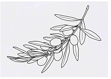 Azeeda 'Olive Branch' Temporary Tattoo - A6 (TO00056953)