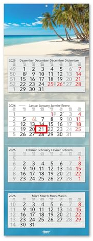 Timr calendrier 4 mois 2026 - calendrier mural 4 mois avec curseur - 90 cm calendrier quatre mois multilingue D/GB/F/ES I Motif Plage I tr313