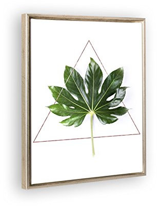Bildershop-24 Schattenfugenrahmen Set Lemgo Silber Antik mit Keilrahmen Leinwand Bild Druck Motiv: Grünes Blatt im Dreieck 40x50cm