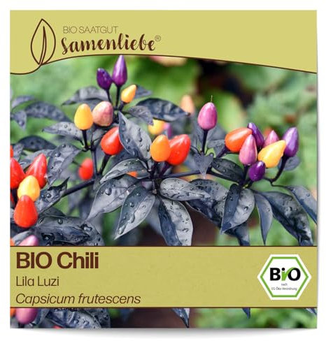 Samenliebe BIO Chili Samen Lila Luzi 10 Samen samenfestes Gemüse Saatgut für Gewächshaus Freiland und Balkon BIO Gemüsesamen