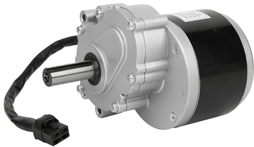 RiToEasysports Moteur de brosse électrique professionnel 250 W pour Unite, Performance fiable, Idéal pour les utilisateurs de fauteuils roulants