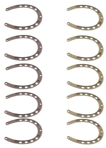 MAGICLULU Ferro di Cavallo in Metallo Resistente allo Sbiadimento da Appendere Portafortuna 10 Pezzi Ornamenti Vintage per Giardino e Casa per Amanti dei Cavalli