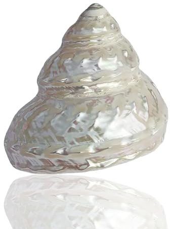 coquille de conque, Coquillages, escargot en forme de cône perles 9-11 cm, option for décoration mariage, fête sur le thème la plage(9~10cm)
