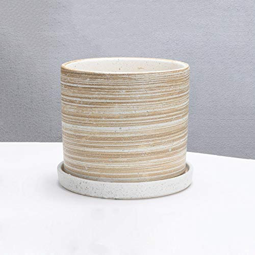 Keramik-Blumentopf der Thread-Serie, großer Morden, einfacher zylindrischer Blumentopf, Wohnzimmerdekoration, Blumentopf mit Tablett, korrosionsbeständiger Behälter, grüner Rettich, Pflanzenfleischt