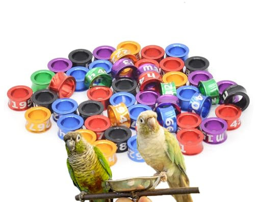 MRLILIN Tauben-Fußkettchen, Haustierzubehör, 4–8 mm, gemischte Farbe, Zufallszahl, Hühnerring, Taubenfußring, Aluminium-Beinring, Tauben-Identifikationsband (offener Ring) 50 Stück Mixed colors5.0mm