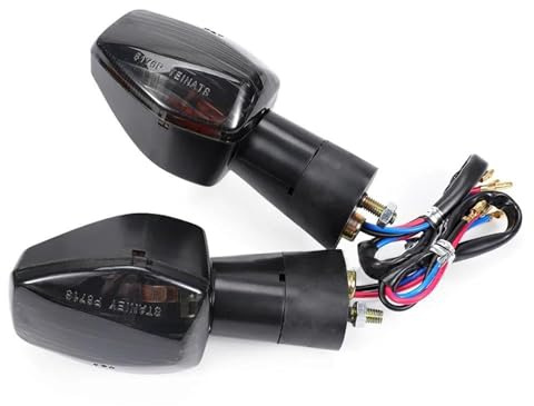 ZWBHNB Luces de Señal de Giro Luz Intermitente para Motocicleta para H&Onda XL700V Transalp 700 RVT1000R RC51, Intermitente Impermeable. Luz Intermitente(Fumar)