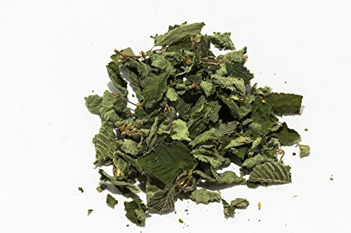 Nano Haselnusslaub (grün getrocknet), 20 Blätter - Garnelenfutter