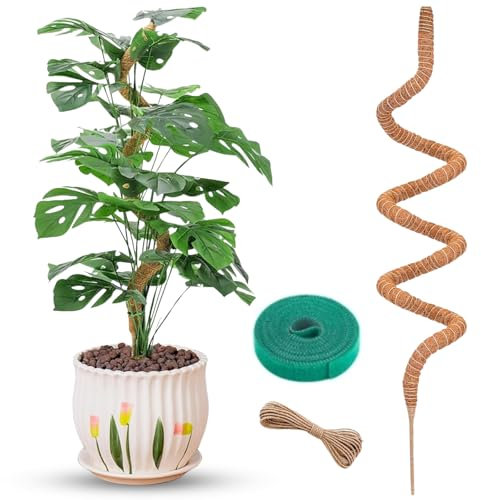 Auraville Biegbare Moosstange für Pflanzen, 152,4 cm hohe Moosstange, Monstera-Pflanzenstütze | große Stangen für Kletterpflanzen | handgefertigte Kokosfaser-Pflanzenstangen für lebende Pothos, 152,4