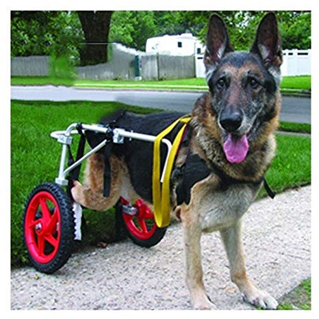JXIPANUL Großer Hunderollstuhl, verbesserte Hunderäder für die Hinterbeine, Haustierrollstuhl für große Hunde, Haustierwagen, Hunderollstuhl für die Rehabilitation der Hinterbeine, Walkin W