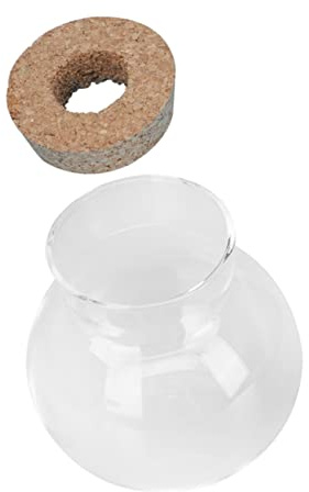 FONDOTIN Micro Paysage Terrarium Transparent Aquarium Décoratif pour Plantes Hydroponiques et Vase Créatif pour Intérieur Bureau et Jardin