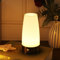 WRalwaysLX Luz de noche LED retro para el hogar, lámpara pequeña con sensor de movimiento LED PIR inalámbrico para interiores/exteriores, lámpara con pilas para dormitorio, pasillo, cocina