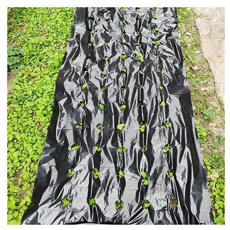 EVANEM Unkrautgewebe Membran Pflanzen Perforierte Folie, for Garten PE Schwarze Löcher Mulchen Gemüsegewächshaus Kunststoff Hochleistungs-Pflanzenabdeckungen (Size : 10X0.95M)