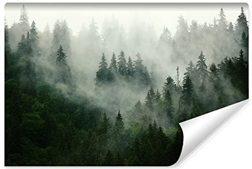 Muralo Fototapete WALD IM NEBEL Wandtapeten Bäume Grün Natur Wohnzimmer Schlafzimmer Esszimmer Moderne Wandbilder XXL Landschaft Panorama Wand Dekoration (SELBSTKLEBEND, Br. 360 cm x Hö. 240 cm)