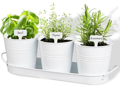 vensovo Indoor Herb Planter Set with Tray - Metal Windowsill Herb Plant Pot with Drainage & Plug for Garden Planter Outdoor, White