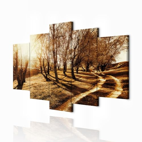 decomonkey Wandbilder Natur 200x100 cm 5 Teilig Wandbild Groß Wohnzimmer | Leinwandbild XXL, Deko, Schlafzimmer, Büro, Wanddeko, Leinwand, Pictures For Wall, Poster, Wall Painting, Abstrakte