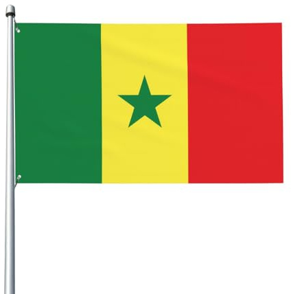 Drapeau du Sénégal imprimé sur un seul côté – 0,9 x 1,5 m Drapeau décoratif intérieur/extérieur (mât non inclus)