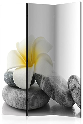 RAUMTEILER/PARAVENT B&D XXL - Spa Zen, 135x172 cm, 3-teilig, Wohnzimmer | Mobiler Sichtschutz, sofort einsatzbereit, Holzrahmen, ideal fürs Wohnzimmer oder Büro, geruchsneutral, lichtbeständig