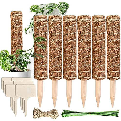 Cieex Monstera Rankhilfe, 6 Stück 30 cm Pflanzstäbe Kokos Moosstab, Moosstäbe für Pflanzen aus Natürlicher Kokosfaser, Monstera Stab mit Zubehör für Kletterpflanzen Pflanzenstütze - Verlängerba