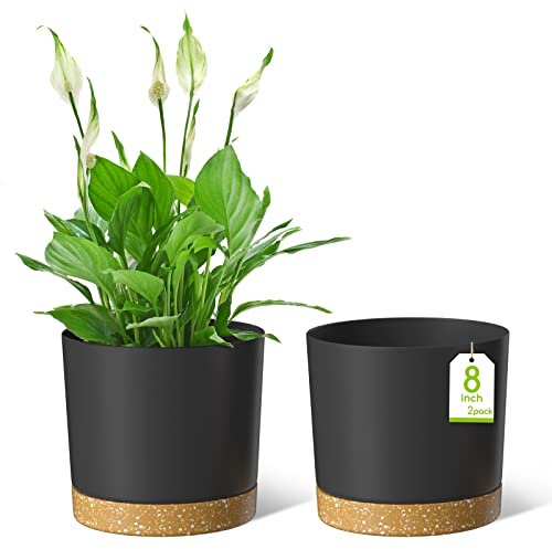 ZMTECH Blumentopf 20 cm Durchmesser übertöpfe für zimmerpflanzen, Kunststoff blumentöpfe mit Untersetzer und Abflusslöchern, Rund pflanztöpfe für Innen Außen Pflanzen(2er-Set, Dunkel Grau)