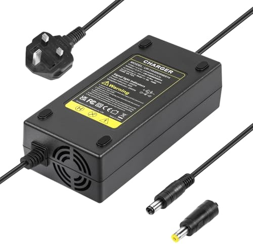 ARyee 54.6V 48V 2A Electric Scooter Charger for 13S 48V Lithium Battery, Li-ion Battery Charger for Electric Wheelchair, Mobility Scooter, Motorcycle, EBike, with 2 Plug, DC 5.5x2.1mm/5.5x2.5mm