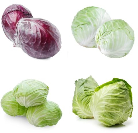 Kohl Samen Winterhart, gartenkräuter samen, balkongarten gemüsesamen, pflanzensamen stauden winterhart mehrjährig pflanzen samen, alte sorten gemüsesamen & -pflanzen gemüse samen, 80pcs