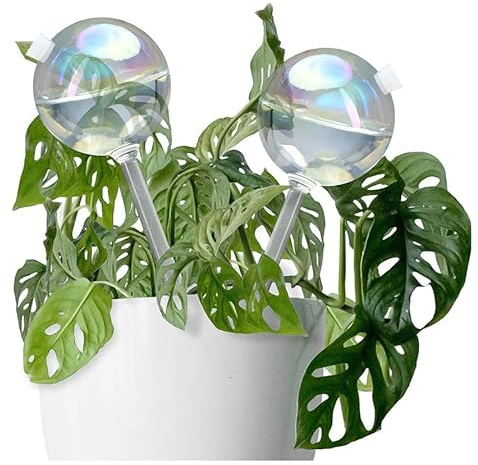 WENDOWERK® Bewässerungskugeln [2 Stück] Für Outdoor & Indoor Pflanzen - 150ml Nachfüllbare Wasserkugeln für Pflanzen & Blumen aus Glas - Wasserspender zur Bewässerung inkl. Verdunstungsschutz