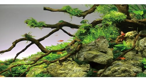 MIRRORANG 76x46cm Steine Zweige Aquarium Hintergrund Flussbett & See Aquarium Vinyl Hintergrund Wasserpflanze Aquarium Hintergrund