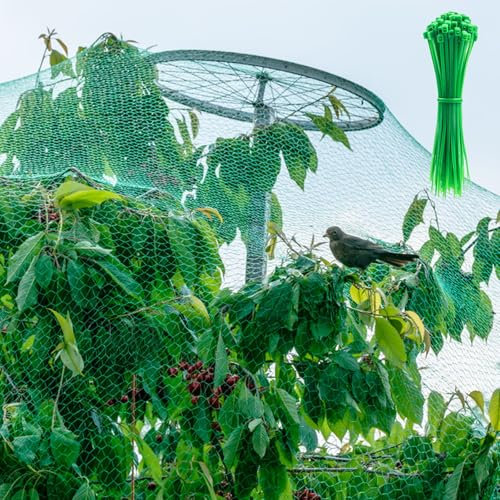 Vogelschutznetz 4x6M, Teichnetz Vogelnetz Engmaschig mit 20 Stück Kabelbinder,Taubennetz Balkon, Pflanzenschutznetz,Gartennetz Obstbaumnetz für Balkon,Gärten,Teich Kirschenbaum (Grün, 4 * 6m)